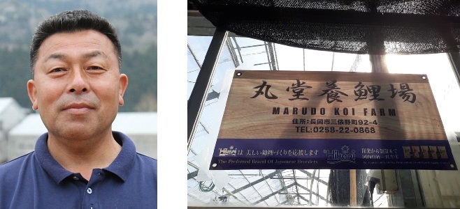 Hisashi Hirasawa & Marudo Koi Farm